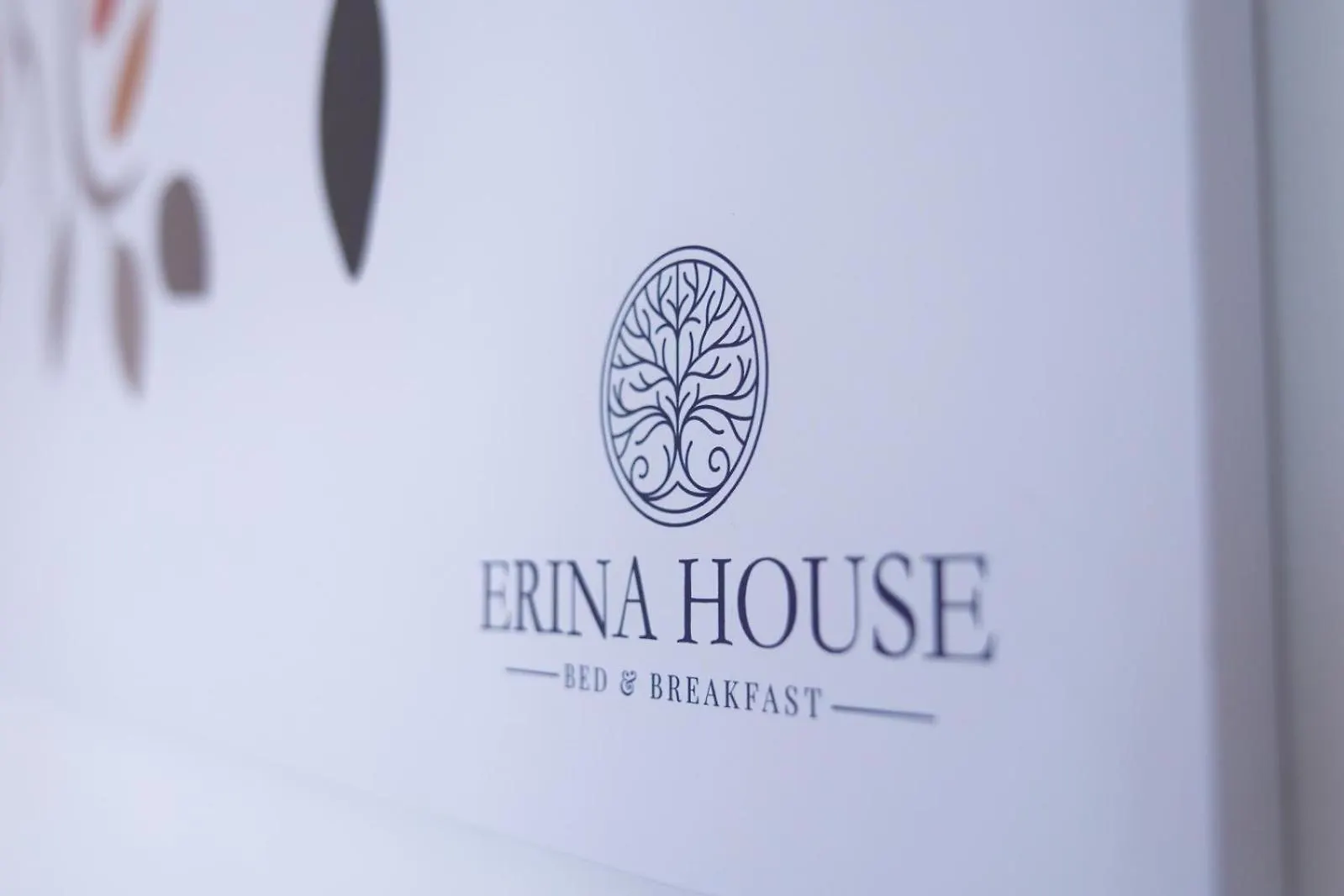 B&B Erinahouse 로마 이탈리아